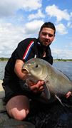 Buffalo Carp - Tancabsti